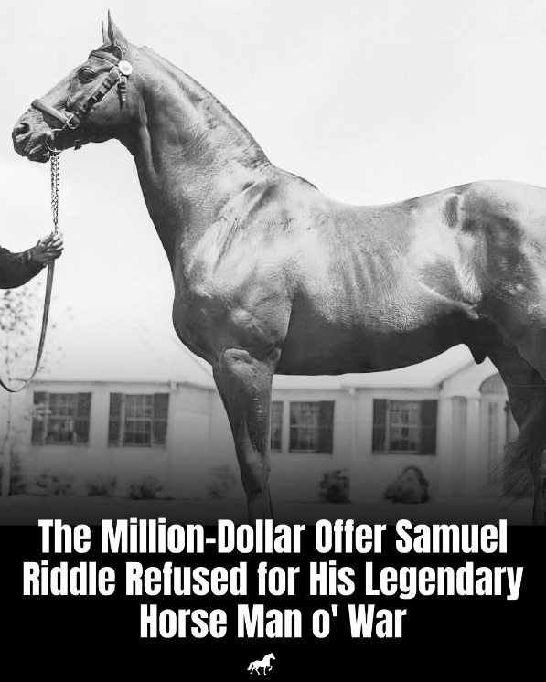 A person holding a horse
AI-generated content may be incorrect.